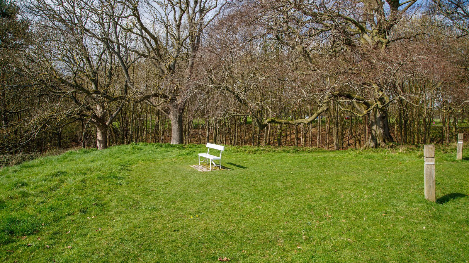 LOWER GLEN ROAD IN PHOENIX PARK [ON ROUTE TO THE FURRY GLEN]-223692-1