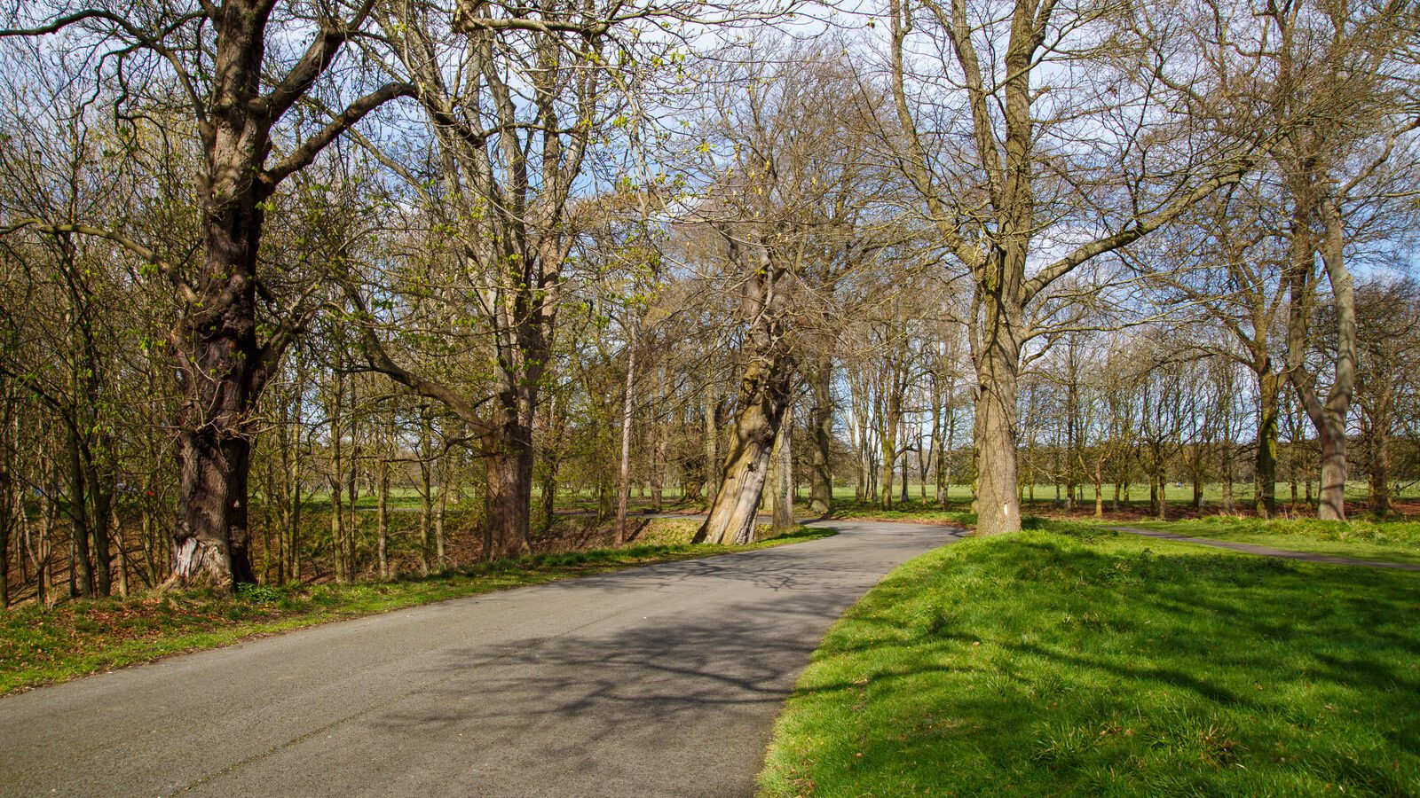 LOWER GLEN ROAD IN PHOENIX PARK [ON ROUTE TO THE FURRY GLEN]-223693-1