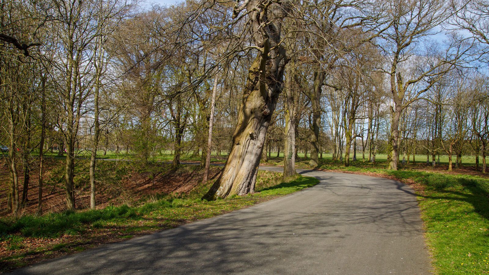 LOWER GLEN ROAD IN PHOENIX PARK [ON ROUTE TO THE FURRY GLEN]-223694-1