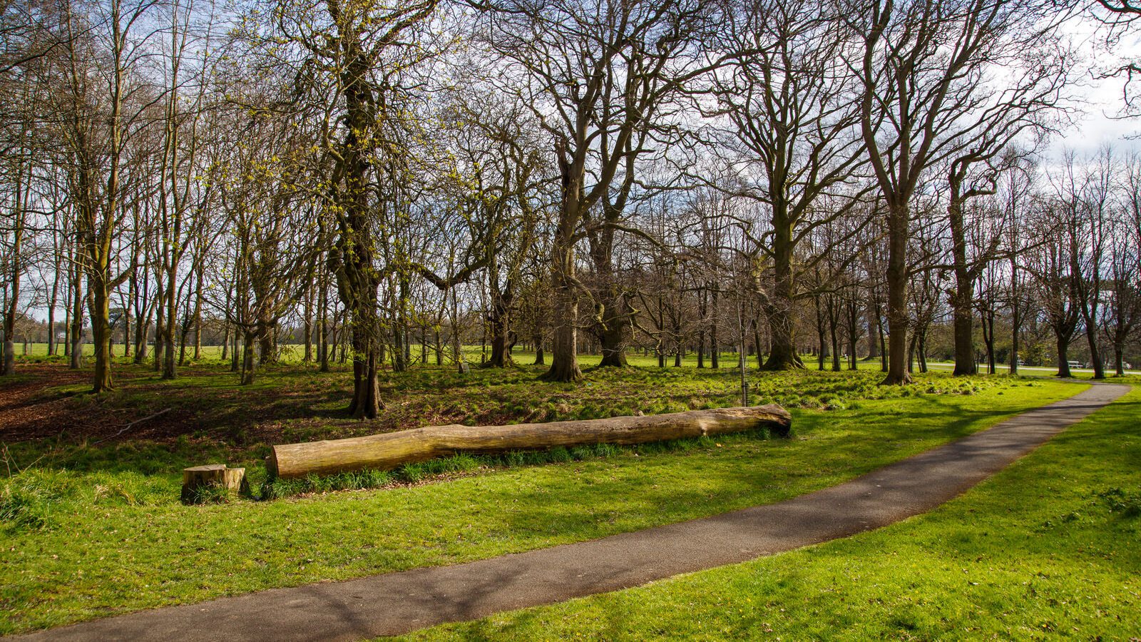 LOWER GLEN ROAD IN PHOENIX PARK [ON ROUTE TO THE FURRY GLEN]-223695-1