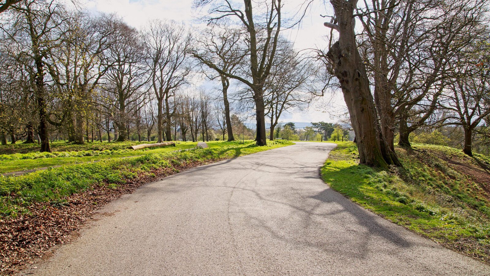 LOWER GLEN ROAD IN PHOENIX PARK [ON ROUTE TO THE FURRY GLEN]-223697-1