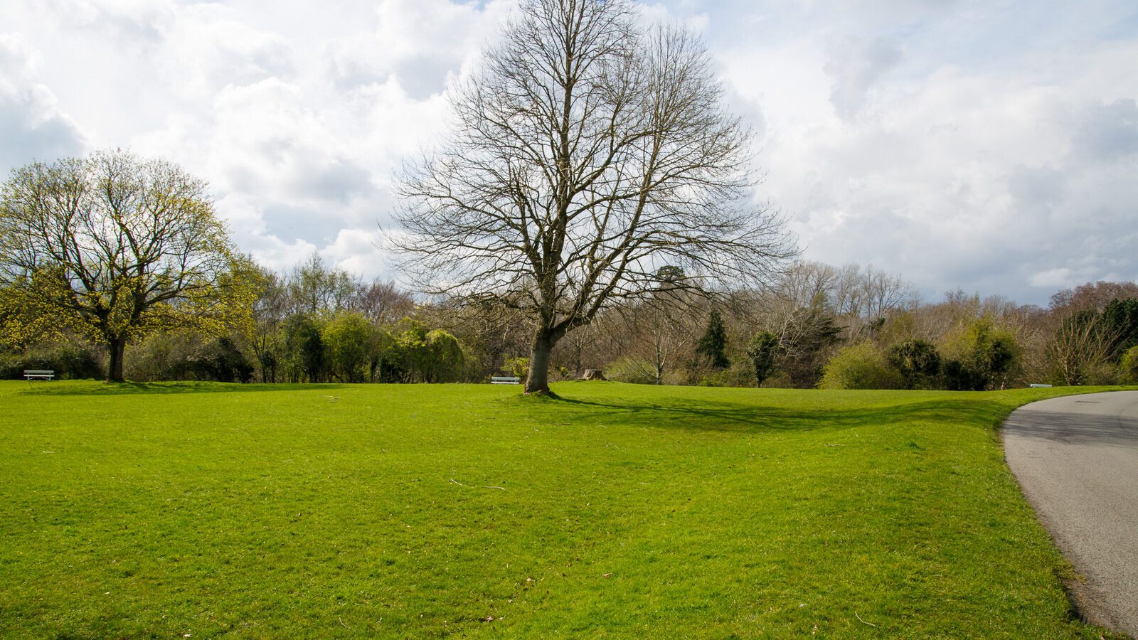 LOWER GLEN ROAD IN PHOENIX PARK [ON ROUTE TO THE FURRY GLEN]-223698-1