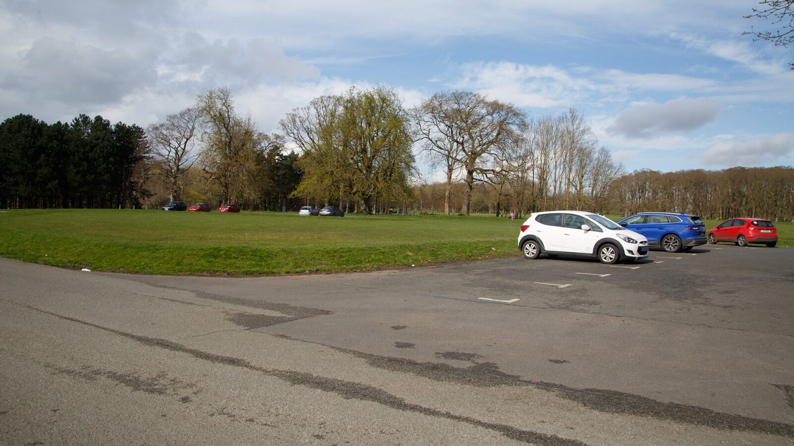 LOWER GLEN ROAD IN PHOENIX PARK [ON ROUTE TO THE FURRY GLEN]-223699-1