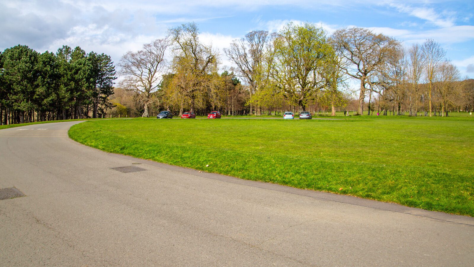 LOWER GLEN ROAD IN PHOENIX PARK [ON ROUTE TO THE FURRY GLEN]-223702-1