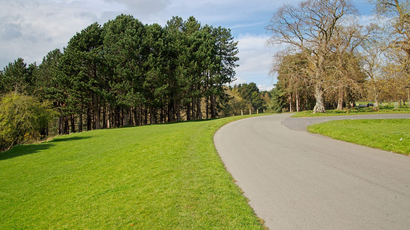 LOWER GLEN ROAD IN PHOENIX PARK [ON ROUTE TO THE FURRY GLEN]-223703-1