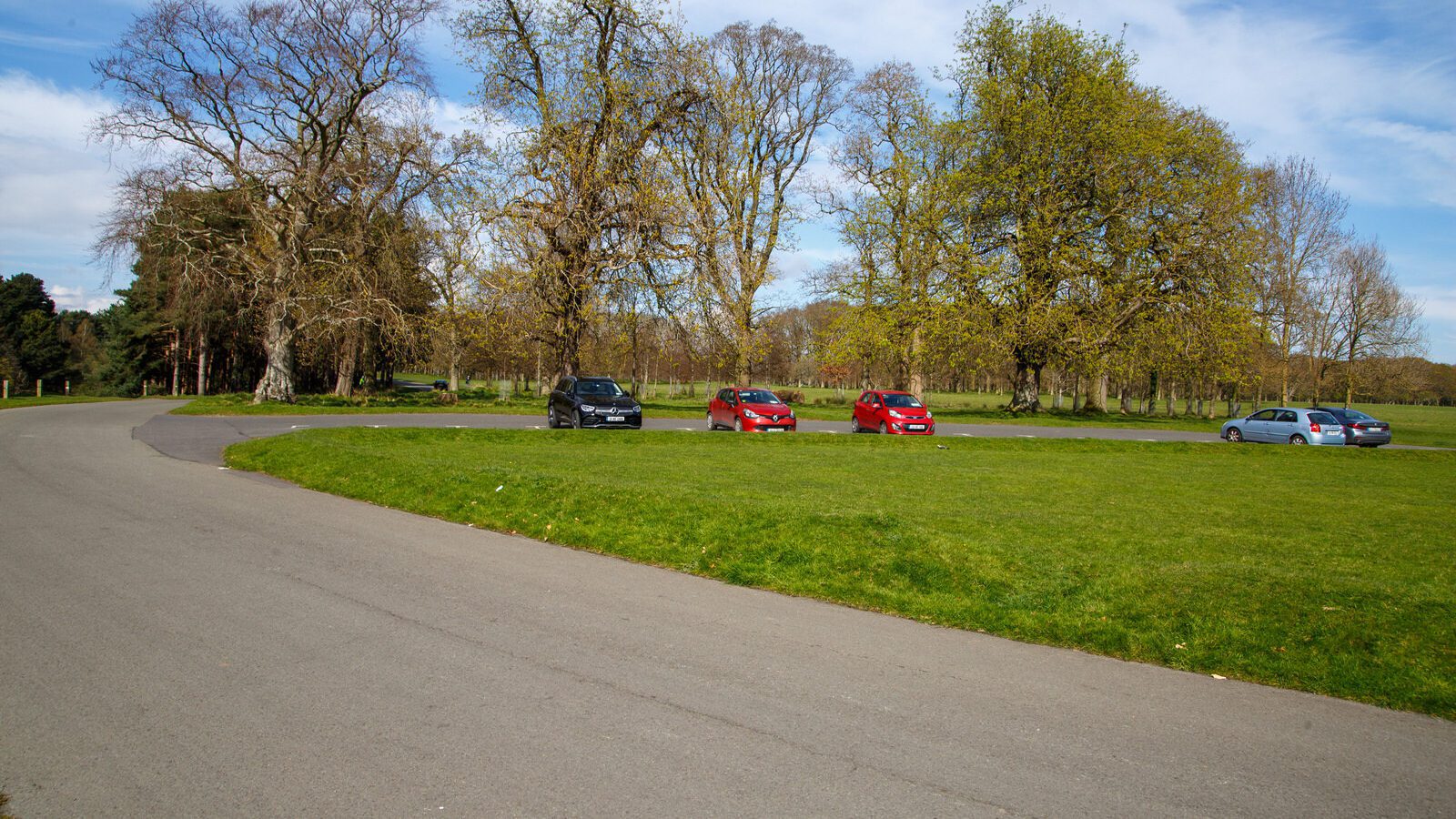 LOWER GLEN ROAD IN PHOENIX PARK [ON ROUTE TO THE FURRY GLEN]-223704-1