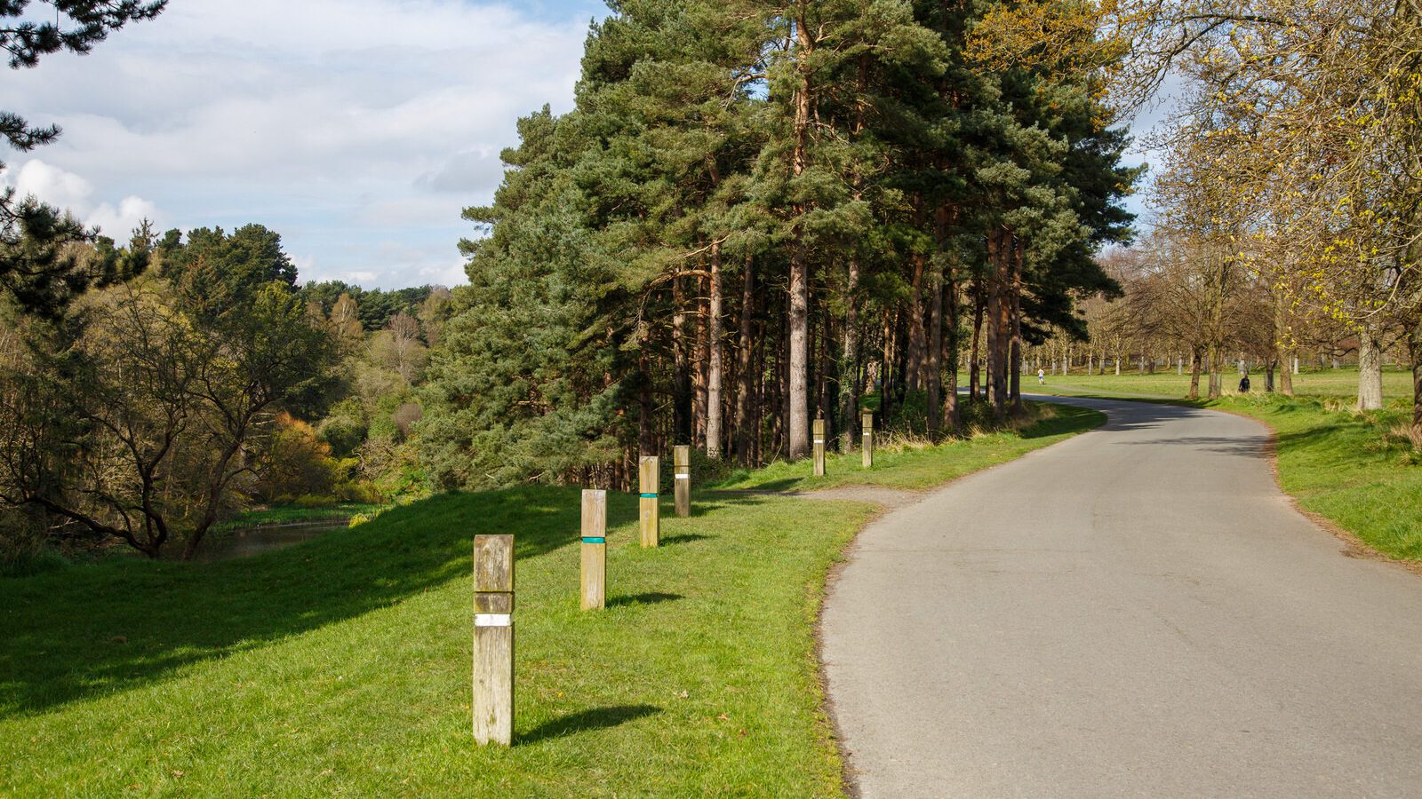 LOWER GLEN ROAD IN PHOENIX PARK [ON ROUTE TO THE FURRY GLEN]-223705-1