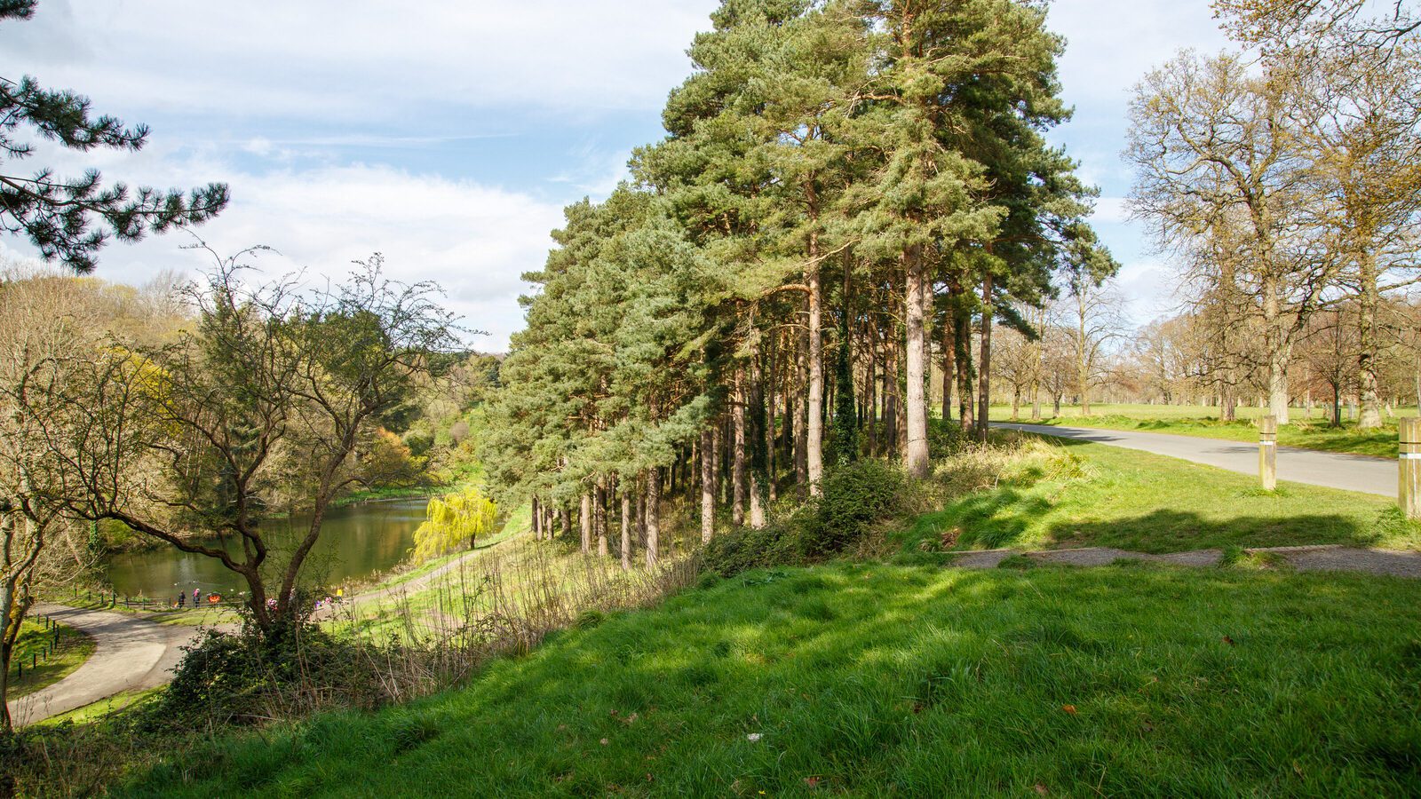 LOWER GLEN ROAD IN PHOENIX PARK [ON ROUTE TO THE FURRY GLEN]-223706-1