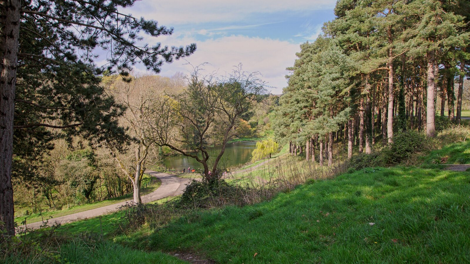 LOWER GLEN ROAD IN PHOENIX PARK [ON ROUTE TO THE FURRY GLEN]-223707-1