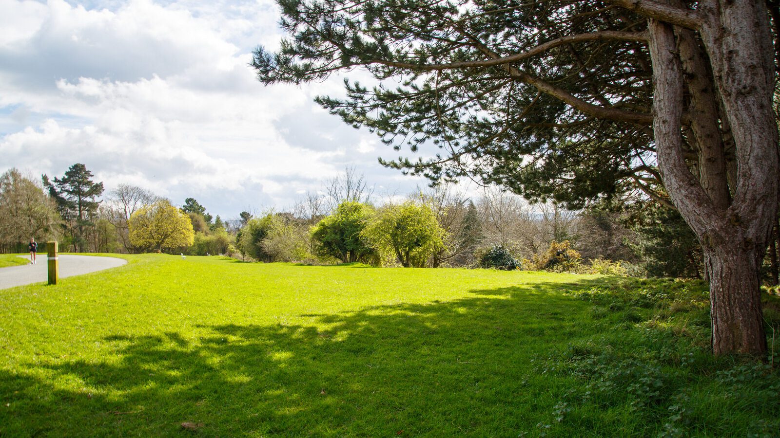 LOWER GLEN ROAD IN PHOENIX PARK [ON ROUTE TO THE FURRY GLEN]-223708-1