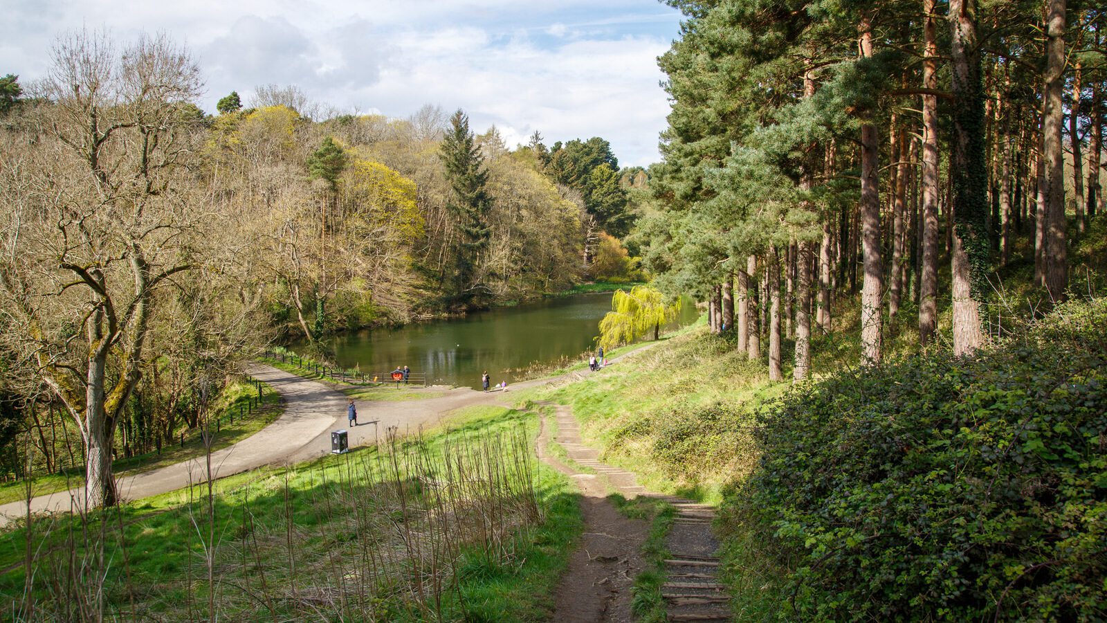 LOWER GLEN ROAD IN PHOENIX PARK [ON ROUTE TO THE FURRY GLEN]-223709-1