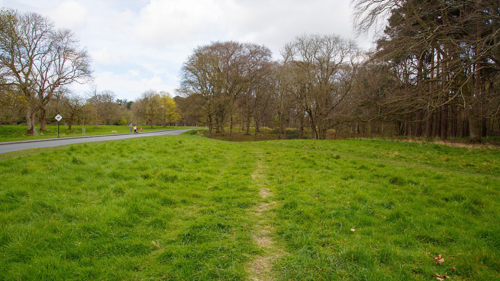 LOWER GLEN ROAD IN PHOENIX PARK [ON ROUTE TO THE FURRY GLEN]-223711-1