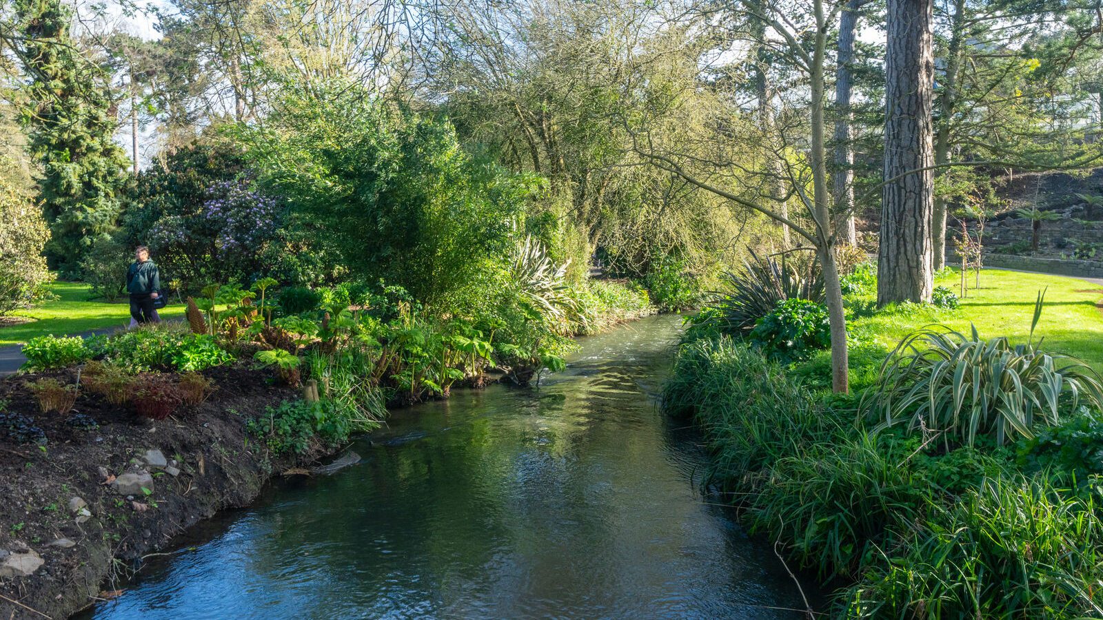 THE MILL FIELD [BOTANIC GARDENS IN APRIL 2024]-223980-1