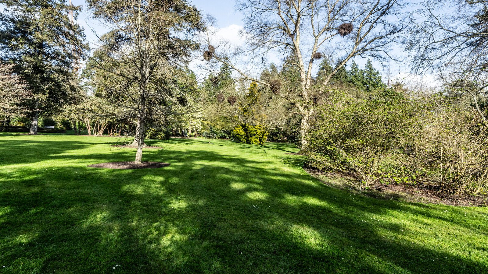 THE MILL FIELD [BOTANIC GARDENS IN APRIL 2024]-223985-1