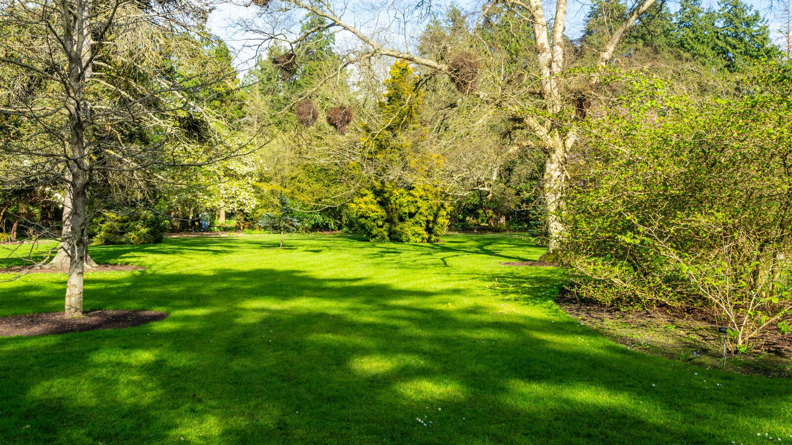 THE MILL FIELD [BOTANIC GARDENS IN APRIL 2024]-223986-1