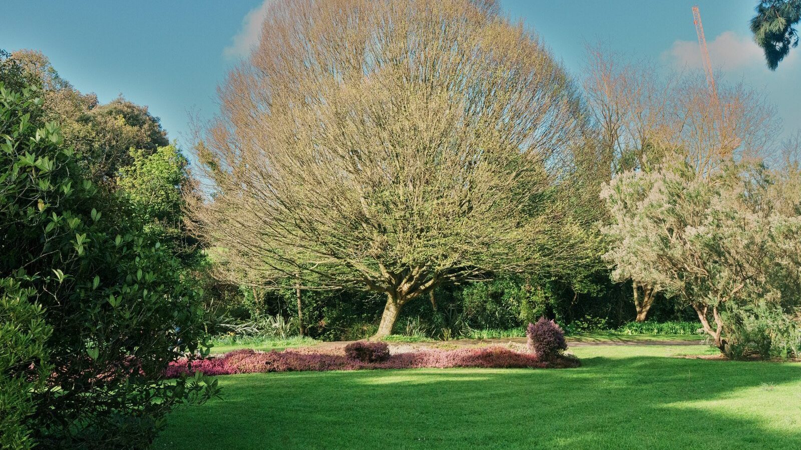 THE MILL FIELD [BOTANIC GARDENS IN APRIL 2024]-223987-1