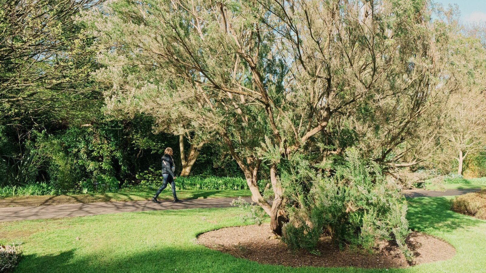 THE MILL FIELD [BOTANIC GARDENS IN APRIL 2024]-223988-1