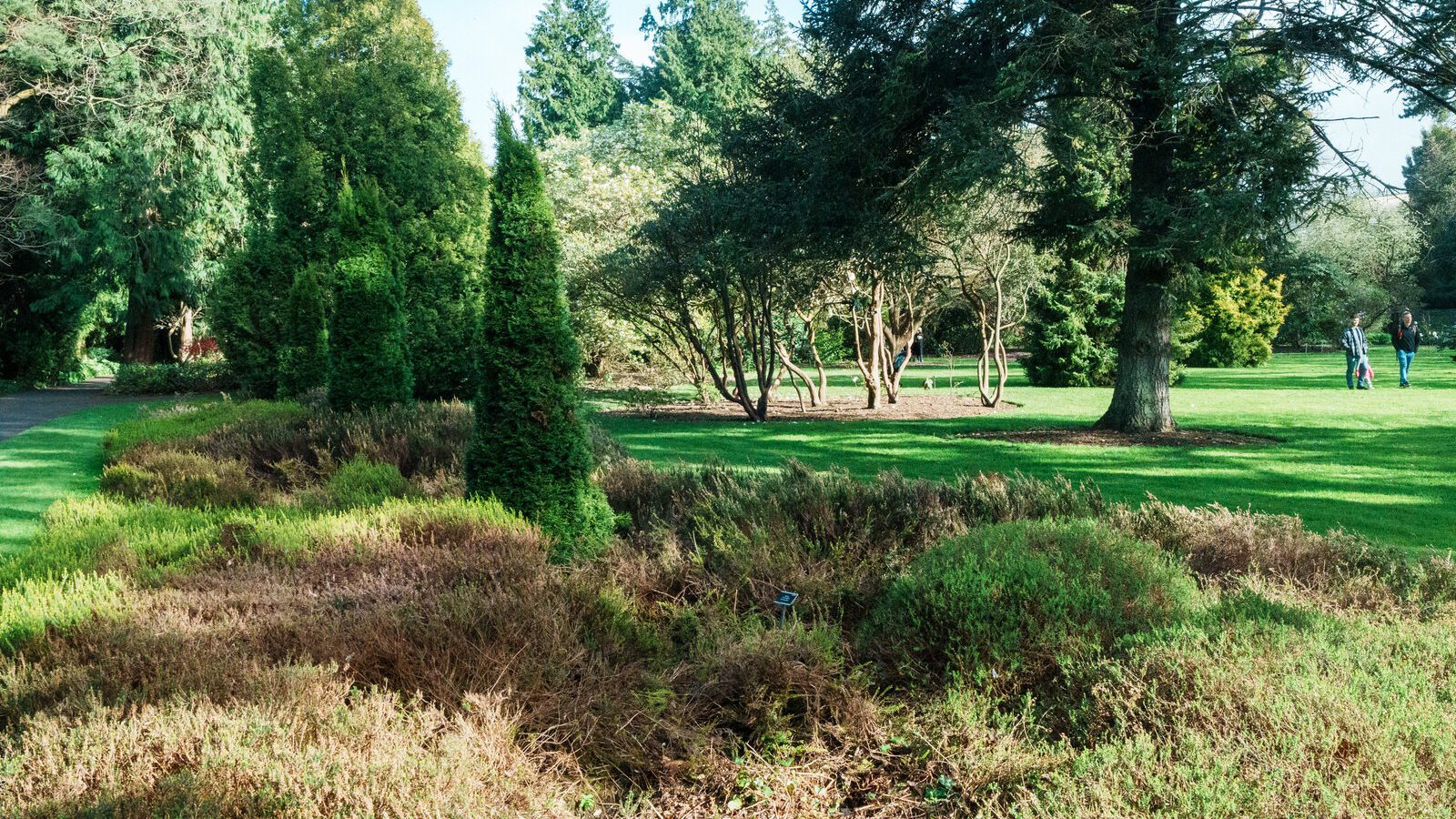 THE MILL FIELD [BOTANIC GARDENS IN APRIL 2024]-223989-1