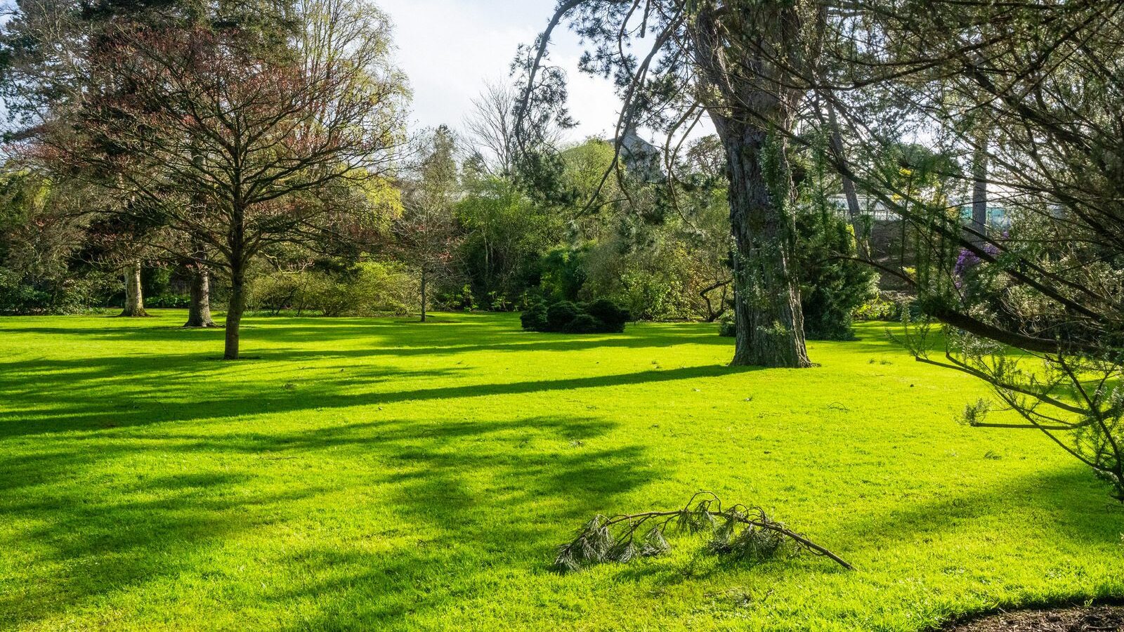 THE MILL FIELD [BOTANIC GARDENS IN APRIL 2024]-223990-1