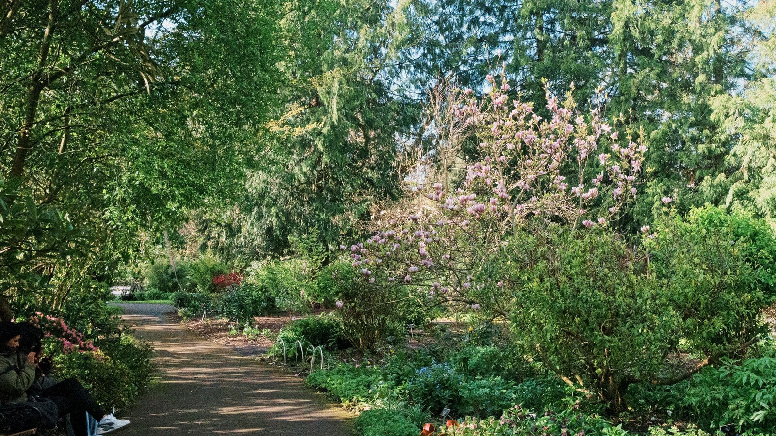 THE MILL FIELD [BOTANIC GARDENS IN APRIL 2024]-223993-1