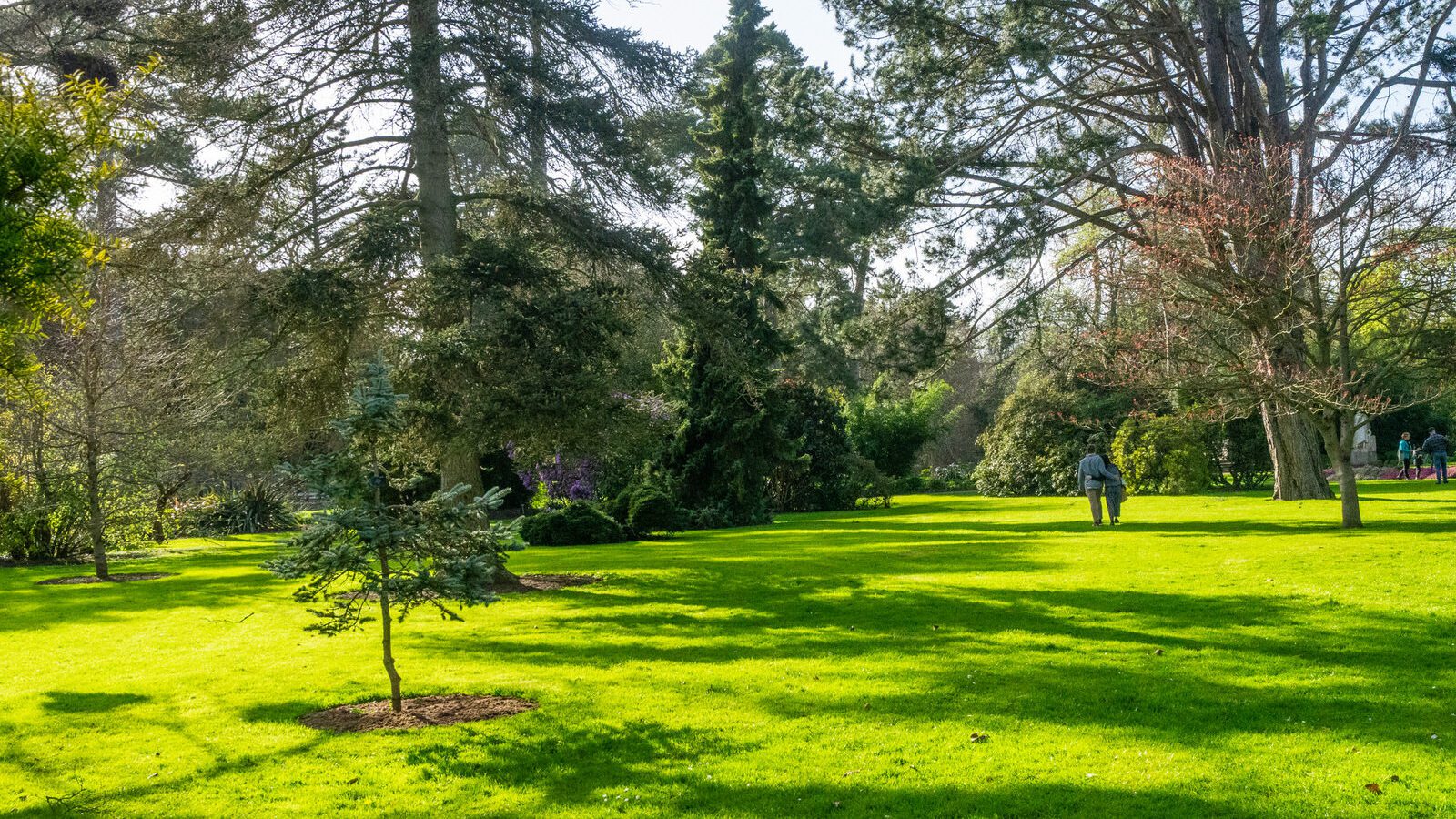 THE MILL FIELD [BOTANIC GARDENS IN APRIL 2024]-223994-1