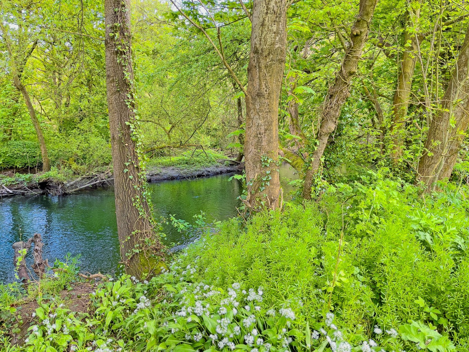 THE RIVER LIFFEY AT PALMERSTOWN [28 APRIL 2024]-231983-1