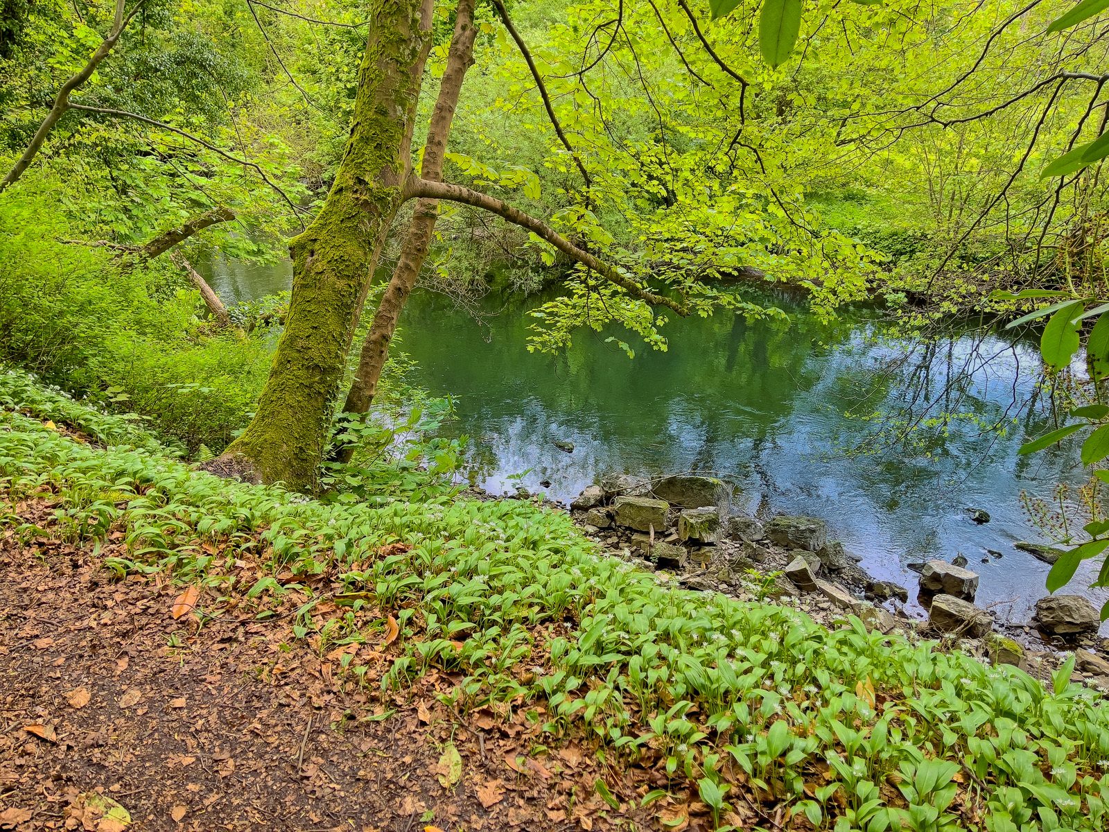 THE RIVER LIFFEY AT PALMERSTOWN [28 APRIL 2024]-231985-1