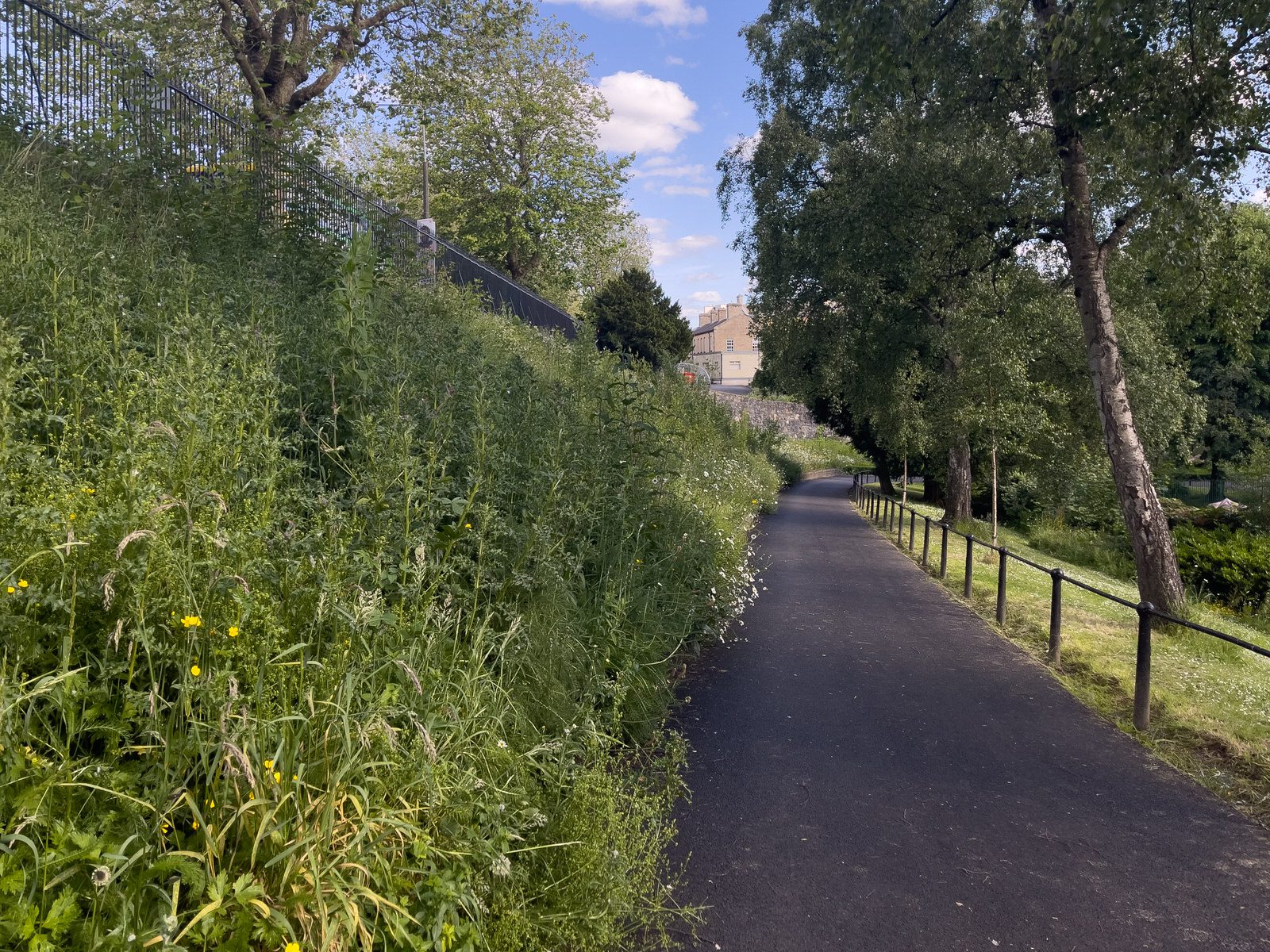 A QUICK VISIT TO PHOENIX PARK [THE IMMEDIATE AREA PARALLEL TO INFIRMARY ROAD WAS NEW TO ME]-234229-1