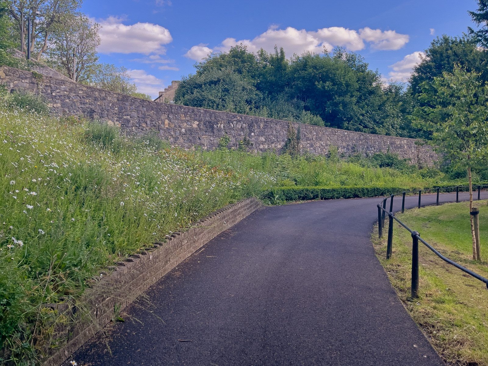 A QUICK VISIT TO PHOENIX PARK [THE IMMEDIATE AREA PARALLEL TO INFIRMARY ROAD WAS NEW TO ME]-234231-1