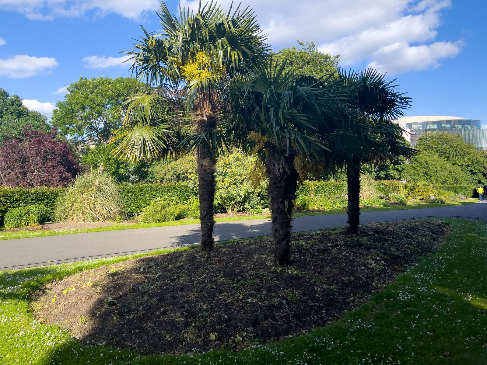 A QUICK VISIT TO PHOENIX PARK [THE IMMEDIATE AREA PARALLEL TO INFIRMARY ROAD WAS NEW TO ME]-234253-1