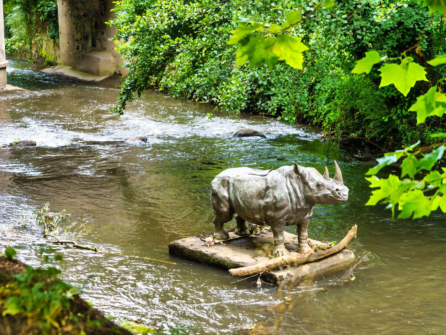 A LONELY RHINO IN THE DODDER [BEHIND THE DROPPING WELL PUB]-239109-1