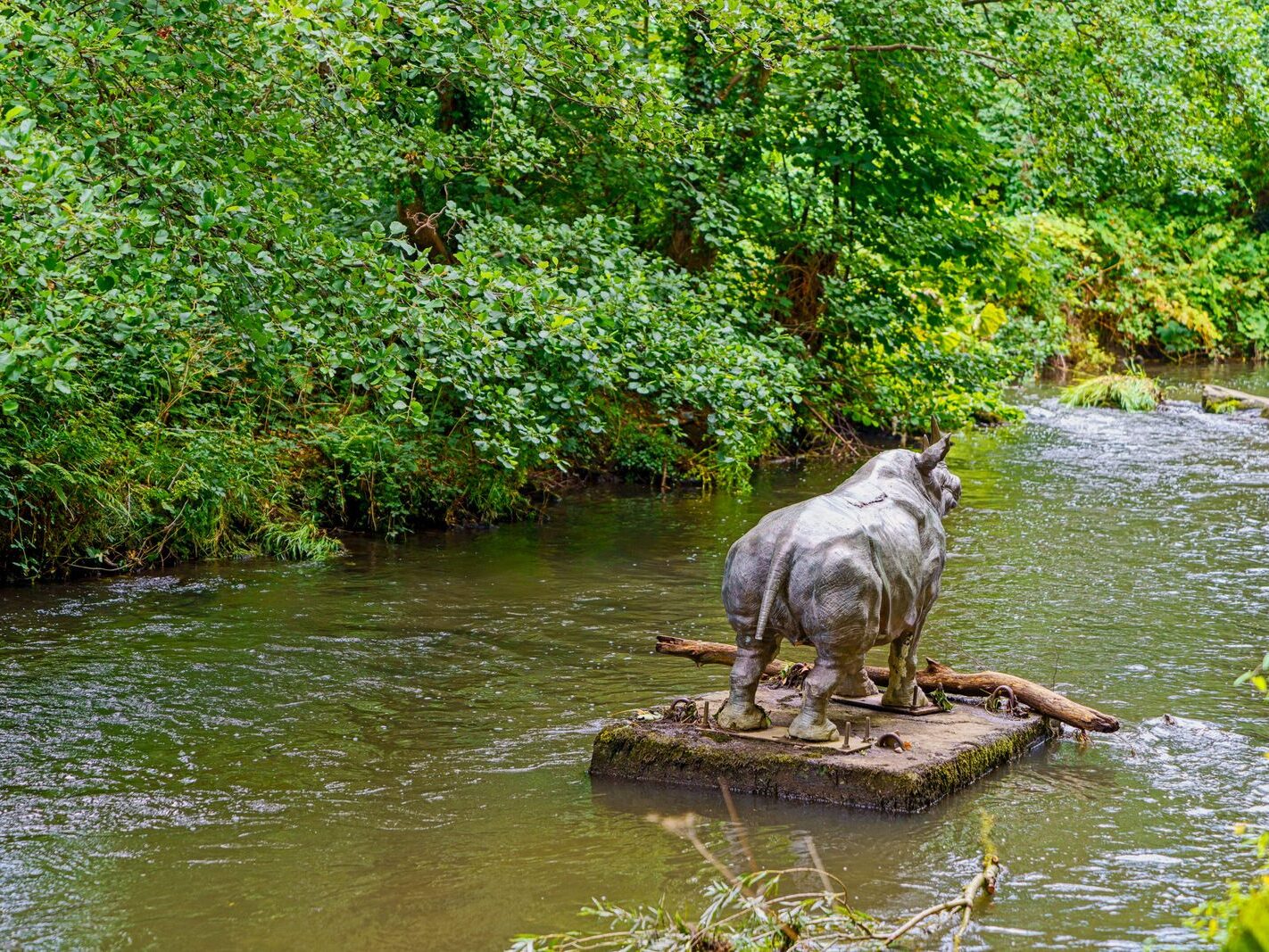 A LONELY RHINO IN THE DODDER [BEHIND THE DROPPING WELL PUB]-239111-1