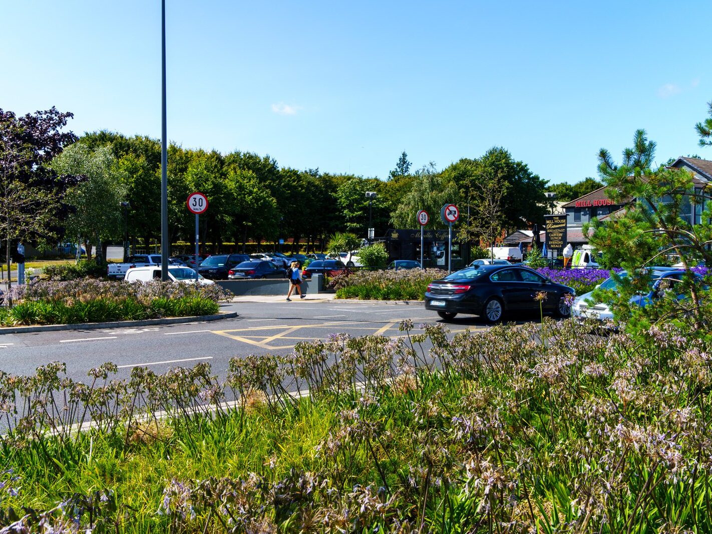 AN ATTRACTIVE COLLECTION OF MICRO GARDENS AND POCKET PARKS [ON LOWER KILMACUD ROAD]-239068-1