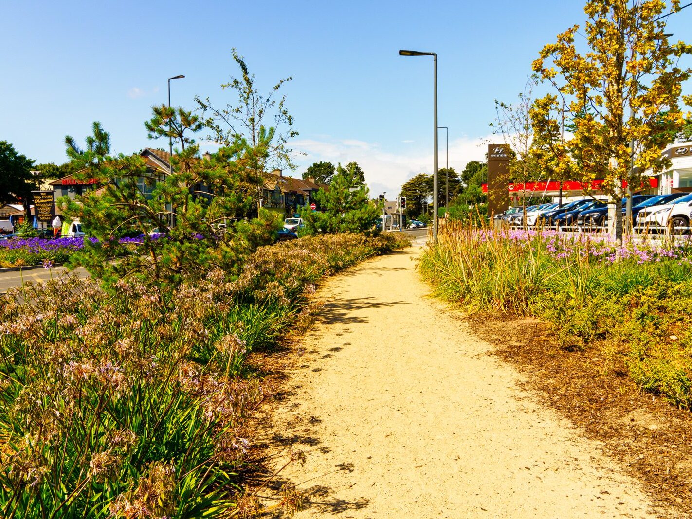 AN ATTRACTIVE COLLECTION OF MICRO GARDENS AND POCKET PARKS [ON LOWER KILMACUD ROAD]-239069-1