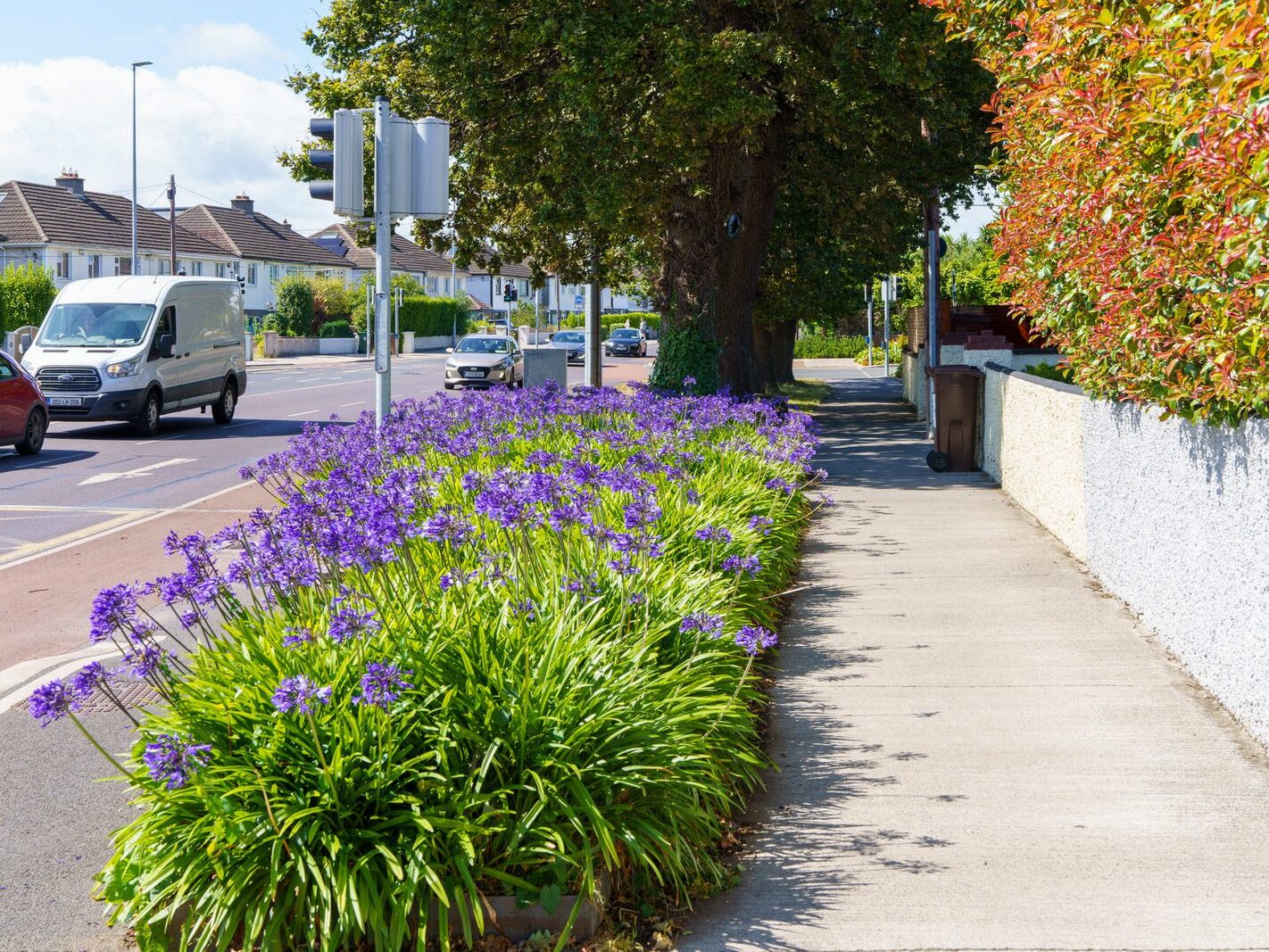 AN ATTRACTIVE COLLECTION OF MICRO GARDENS AND POCKET PARKS [ON LOWER KILMACUD ROAD]-239073-1