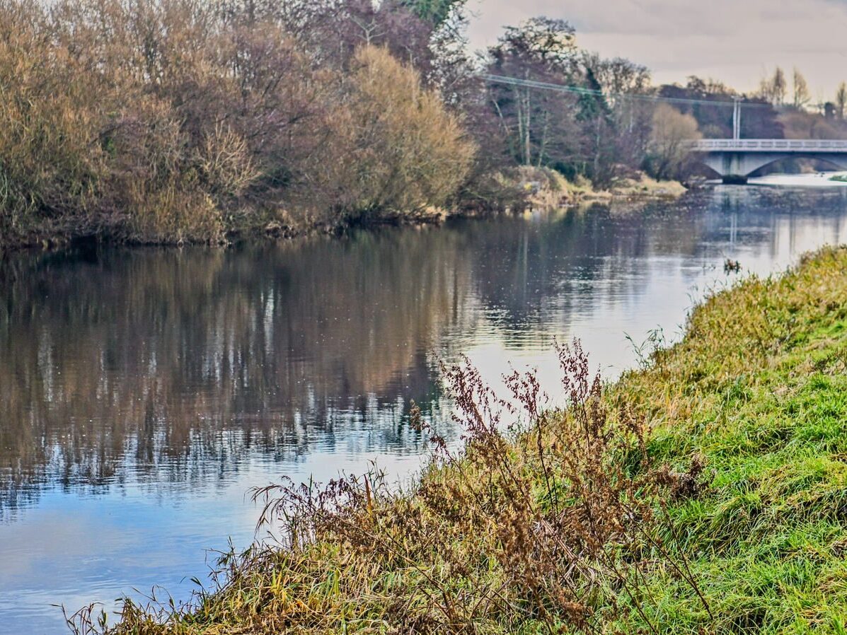 CANNING PLACE AND ROWAN TERRACE IN NEWBRIDGE [CHRISTMAS 2012]--238856-1