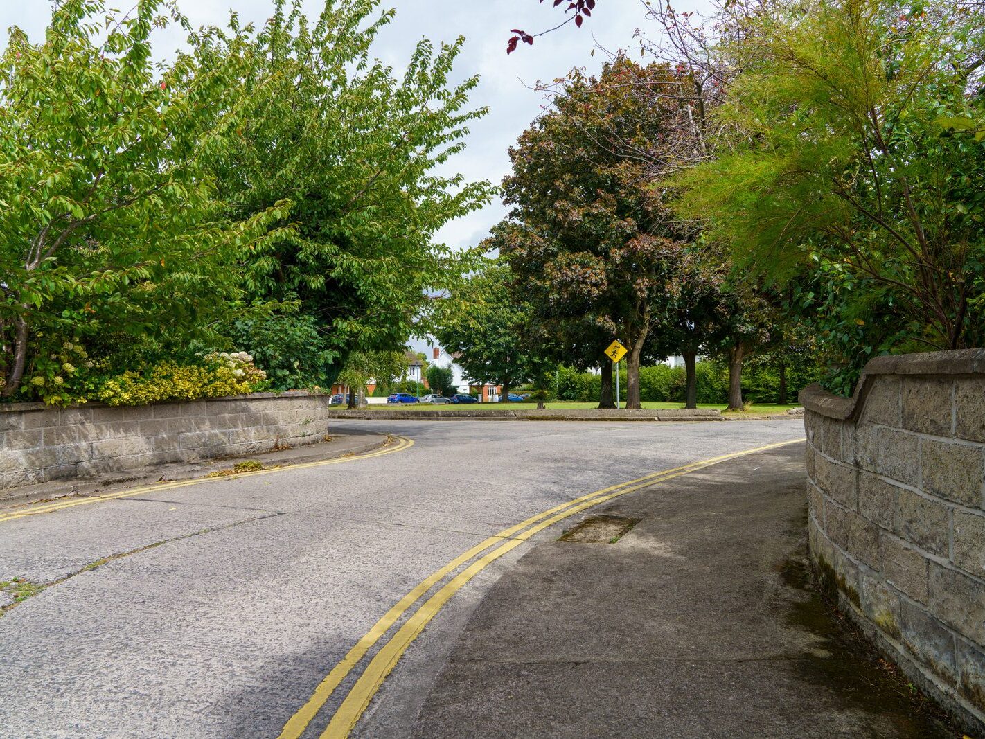 SOUTH HILL [IN DARTRY DUBLIN 6]-239270-1