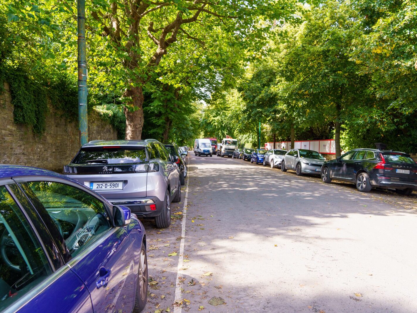 TEMPLE ROAD IN DARTRY DUBLIN 6 [23 AUGUST 2024]-239156-1