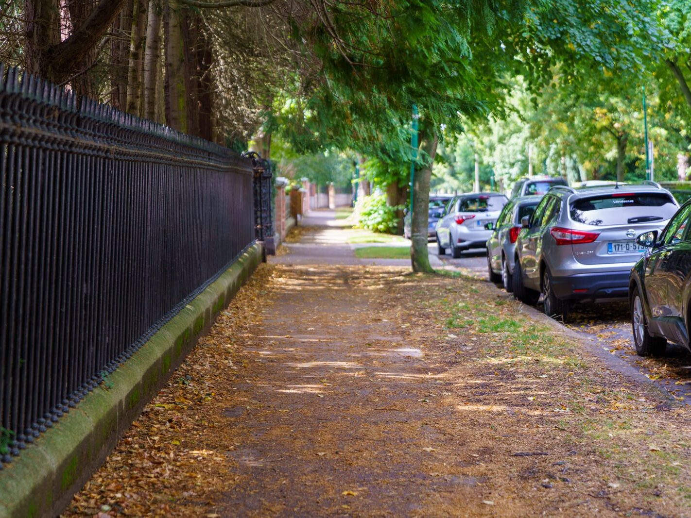 TEMPLE ROAD IN DARTRY DUBLIN 6 [23 AUGUST 2024]-239158-1