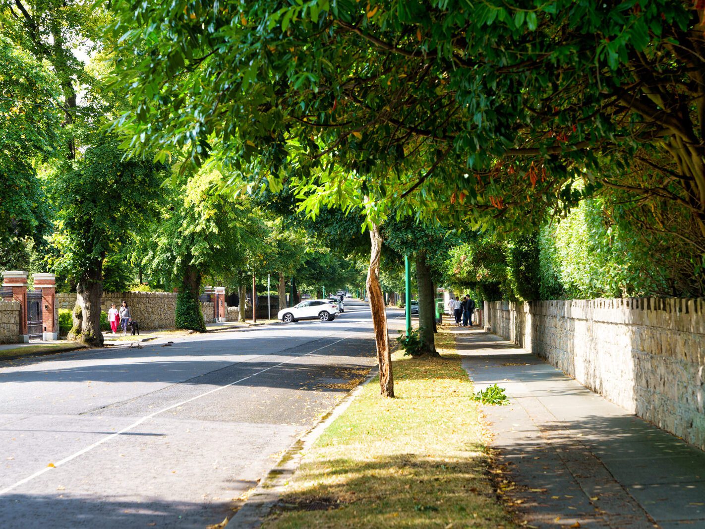 TEMPLE ROAD IN DARTRY DUBLIN 6 [23 AUGUST 2024]-239163-1