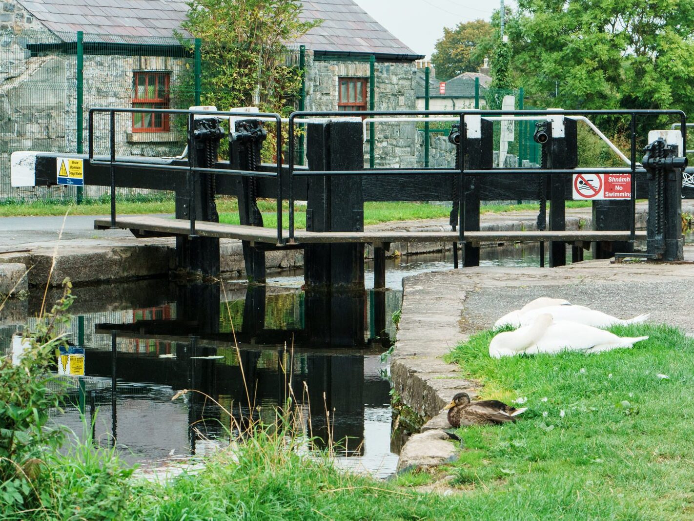 BETWEEN LOCK 5 AND LOCK 6 [ROYAL CANAL DUBLIN]-241087-1