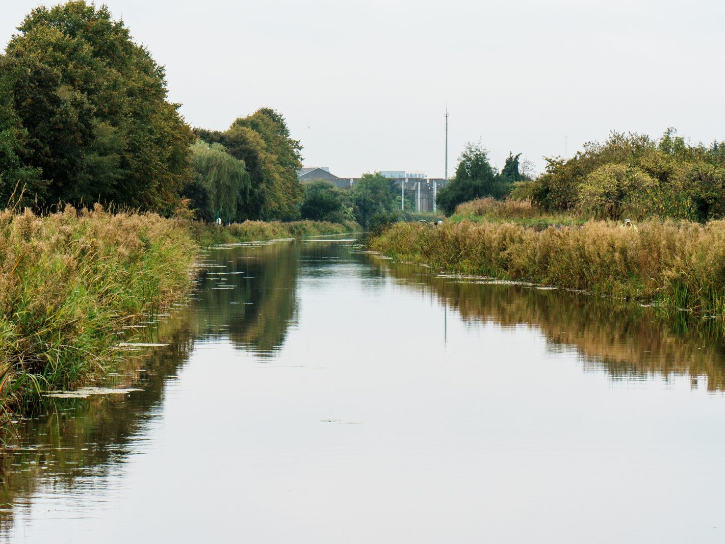 BETWEEN LOCK 5 AND LOCK 6 [ROYAL CANAL DUBLIN]-241091-1