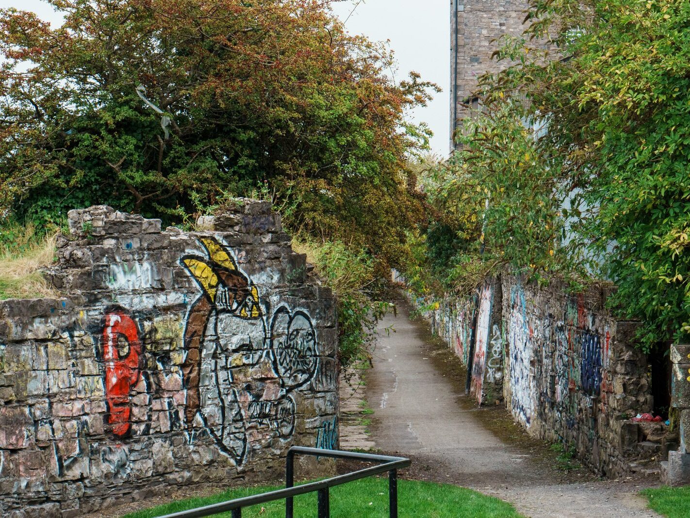 BETWEEN LOCK 5 AND LOCK 6 [ROYAL CANAL DUBLIN]-241104-1