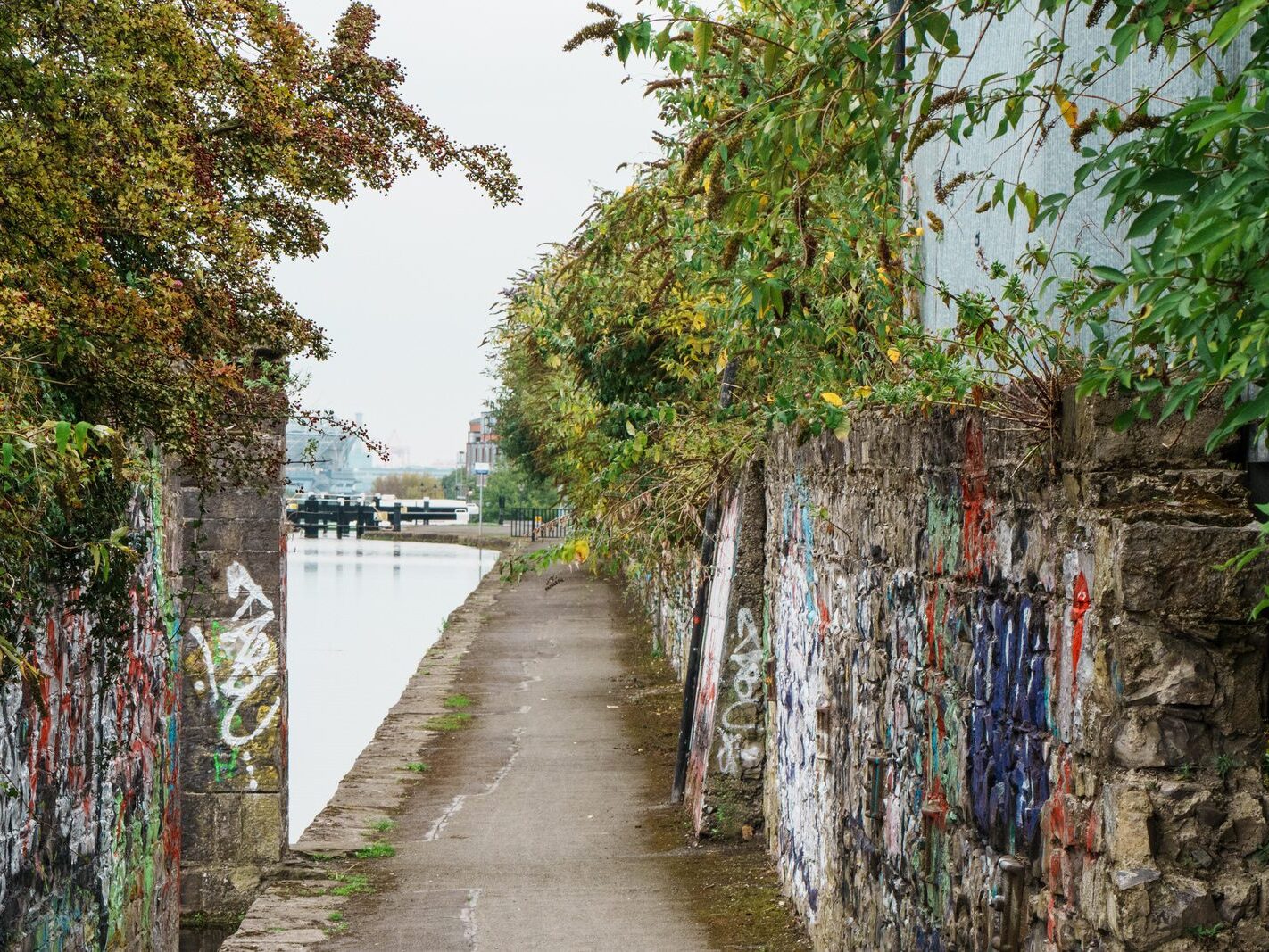 BETWEEN LOCK 5 AND LOCK 6 [ROYAL CANAL DUBLIN]-241105-1