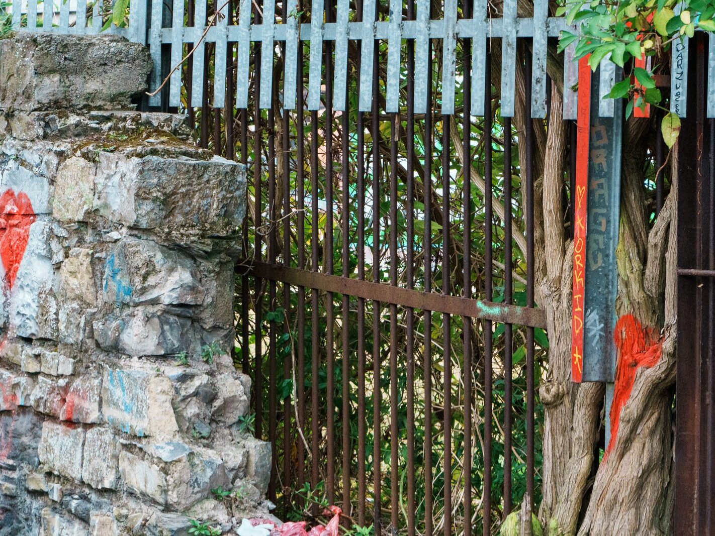 BETWEEN LOCK 5 AND LOCK 6 [ROYAL CANAL DUBLIN]-241108-1