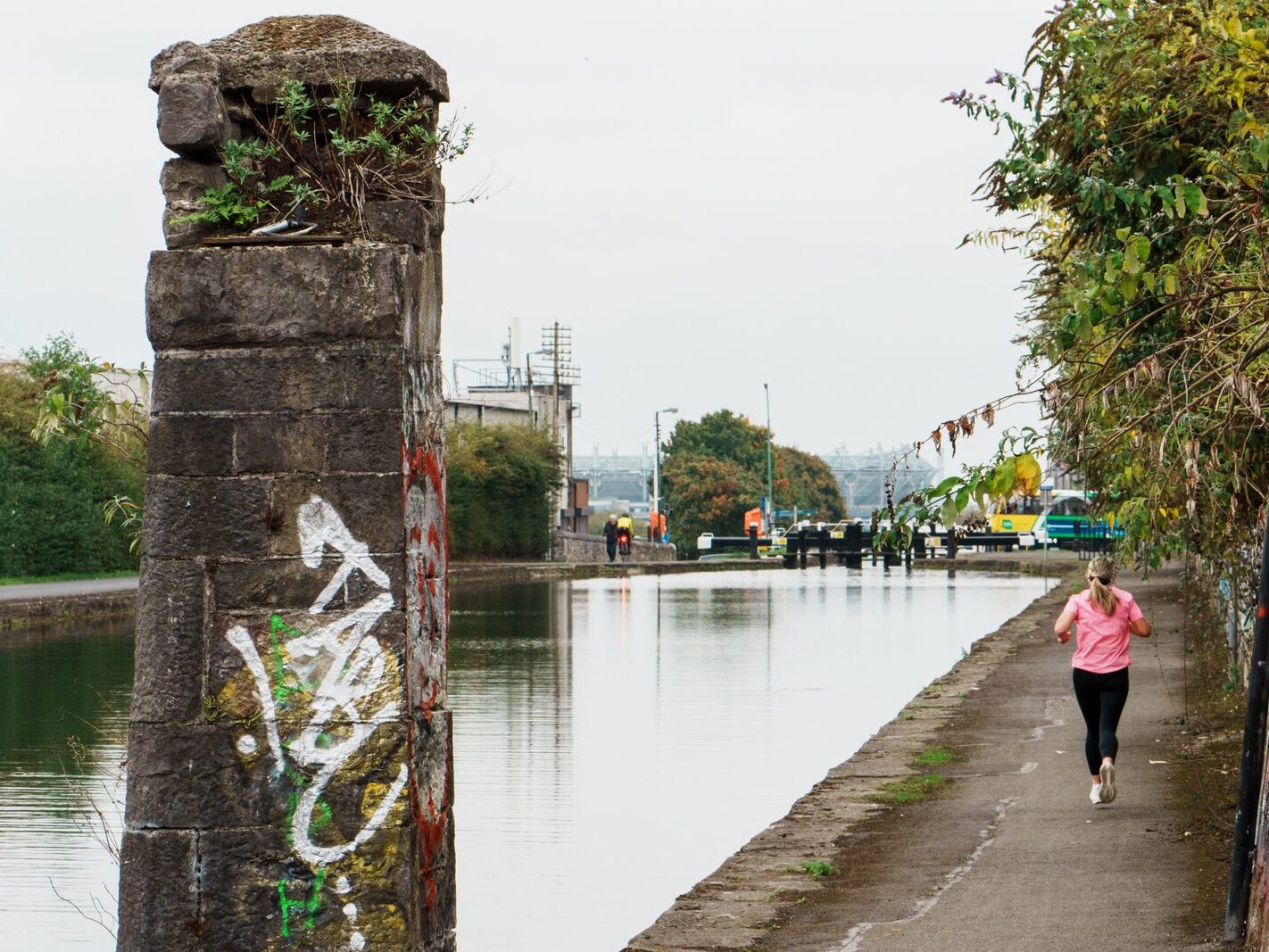 BETWEEN LOCK 5 AND LOCK 6 [ROYAL CANAL DUBLIN]-241111-1