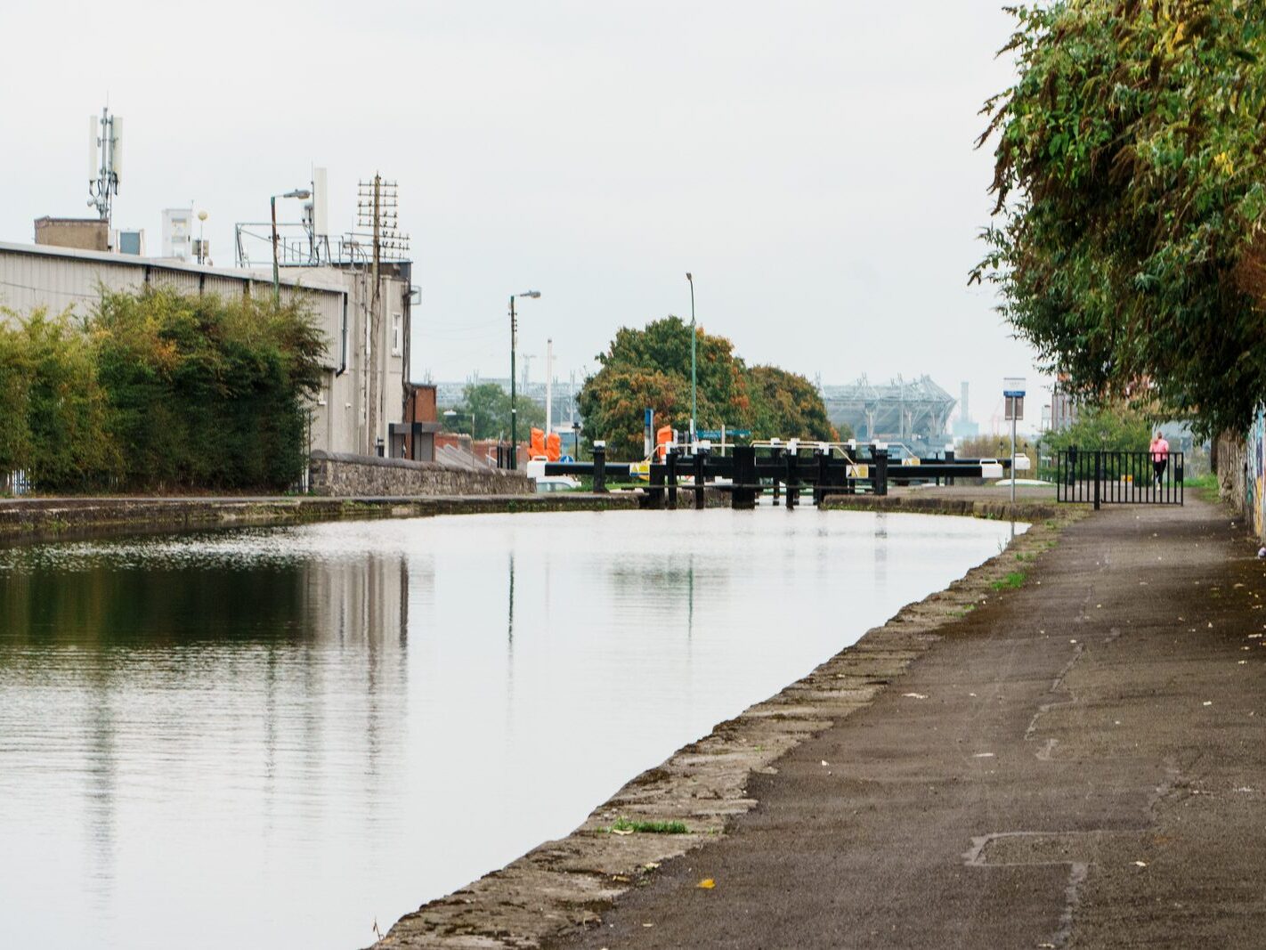 BETWEEN LOCK 5 AND LOCK 6 [ROYAL CANAL DUBLIN]-241114-1