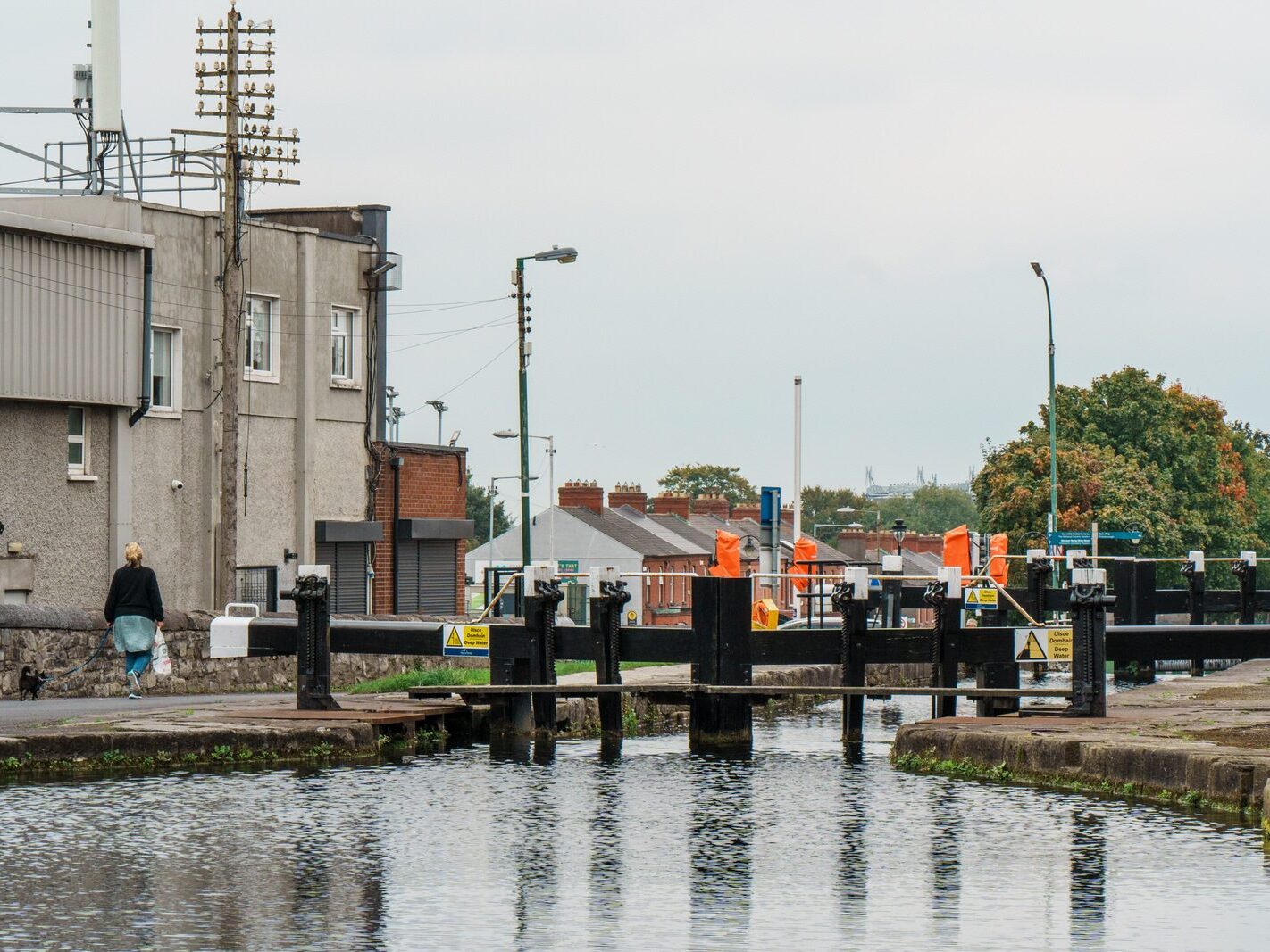 BETWEEN LOCK 5 AND LOCK 6 [ROYAL CANAL DUBLIN]-241117-1