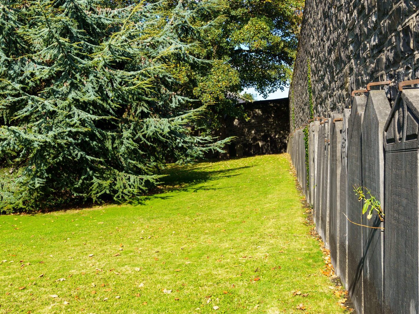 ARBOUR HILL CEMETERY AND 1916 MEMORIAL [PHOTOGRAPHED 10 OCTOBER 2024]-243305-1