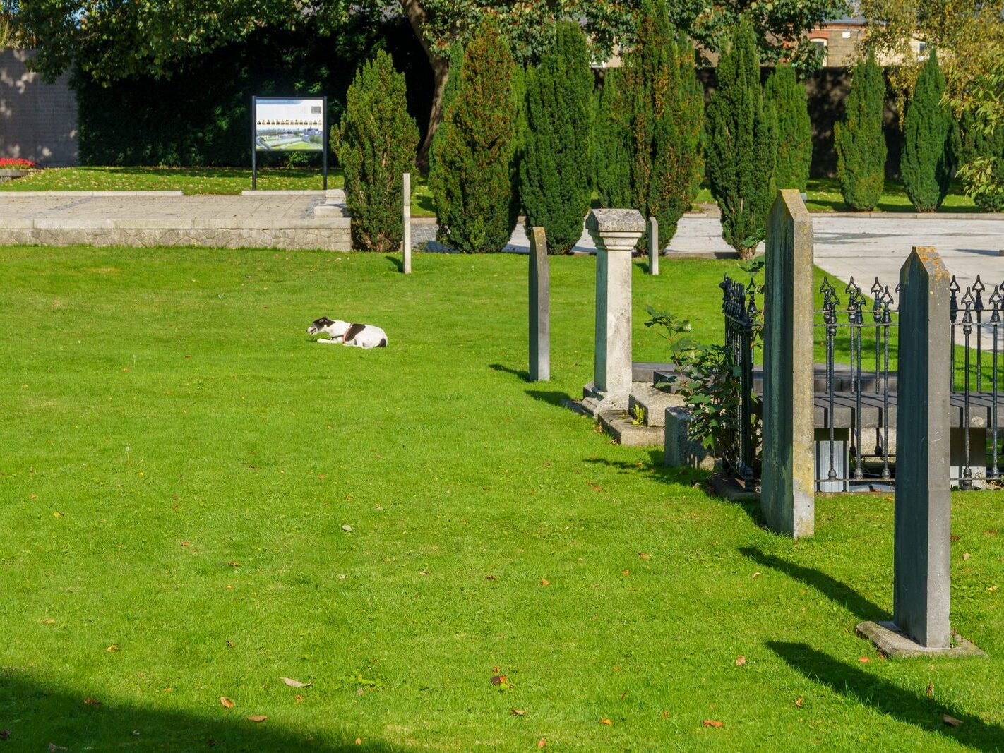 ARBOUR HILL CEMETERY AND 1916 MEMORIAL [PHOTOGRAPHED 10 OCTOBER 2024]-243337-1